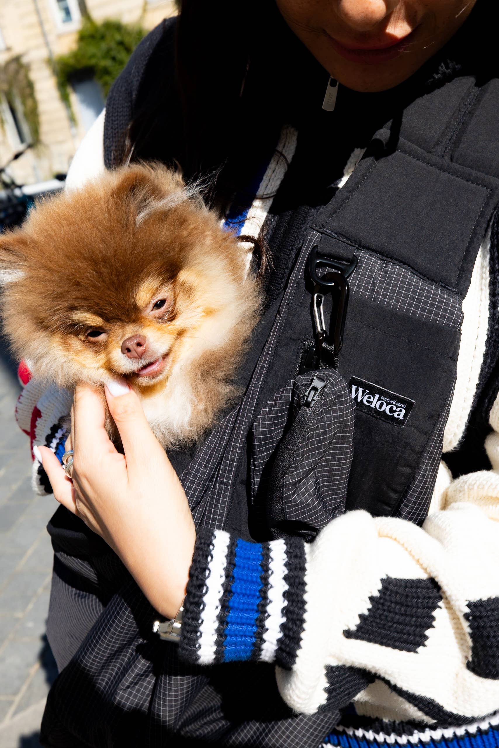 Sac de Transport pour Chien & Chat Weloca – Version Été