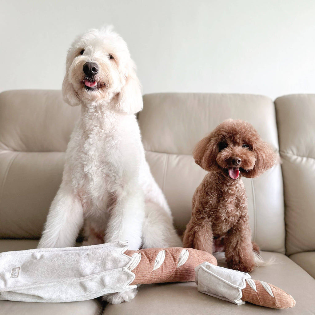 Jouet pour chien MINI-BAGUETTE