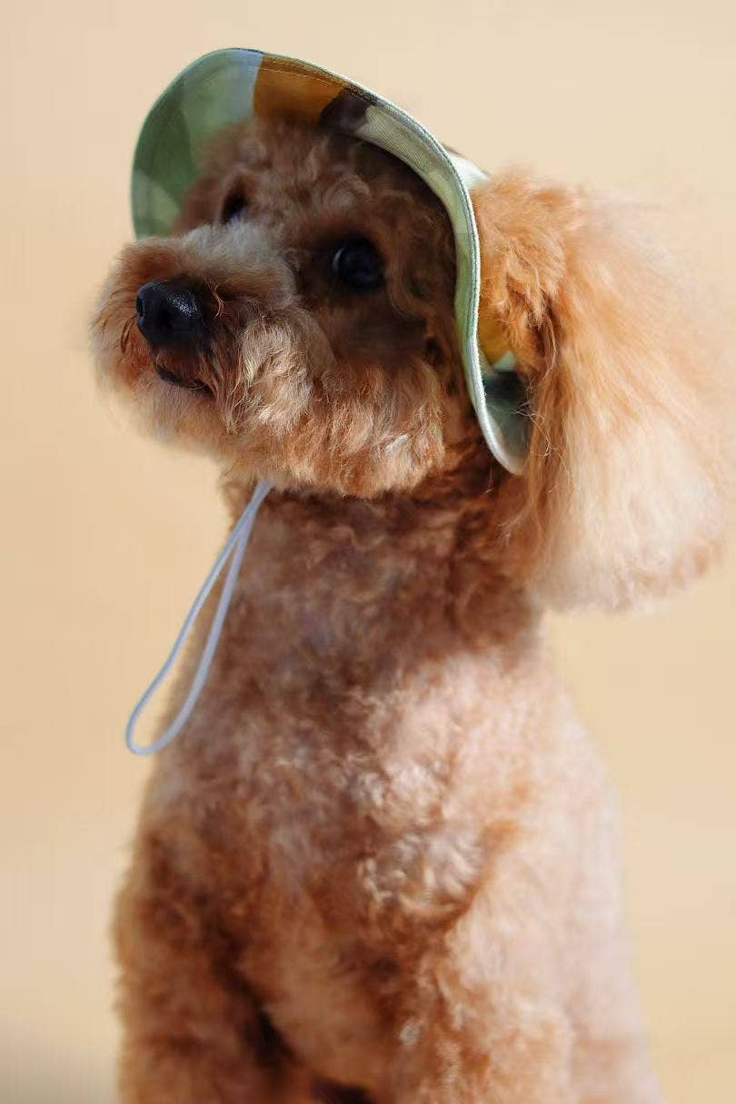 Bob pour chien Moonrise – Ocre | Protection soleil