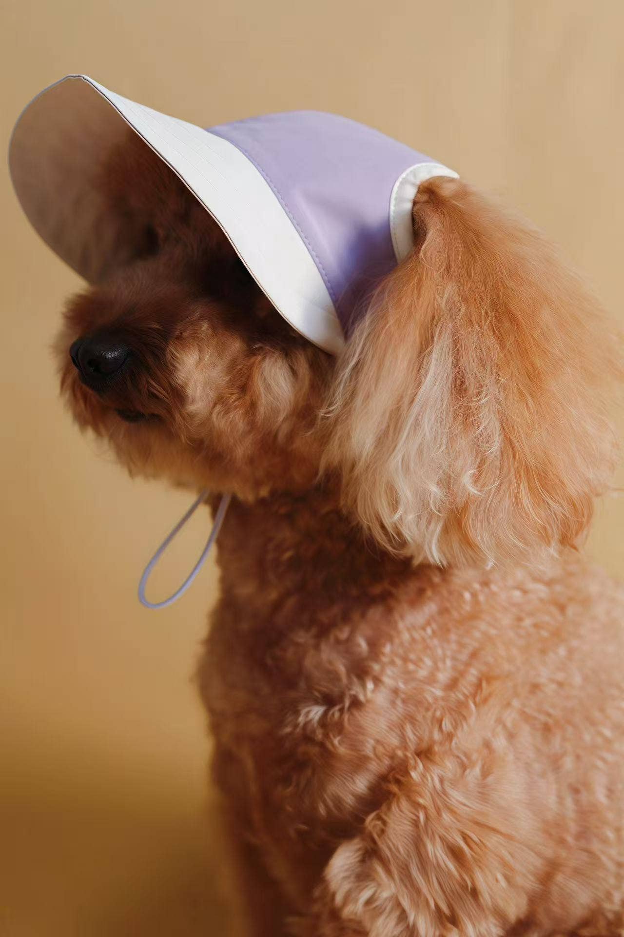 Chapeau pour chien Moonrise – Chalk Purple | Protection UV & pluie