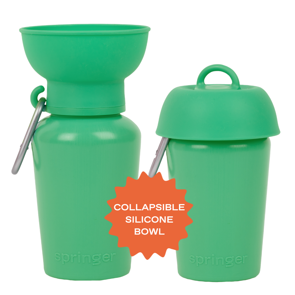 Gourde Portable Springland Pets — 591 ml
