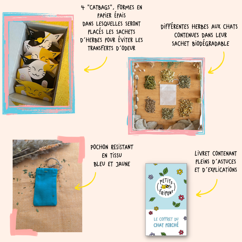 Coffret découverte herbes aux chats