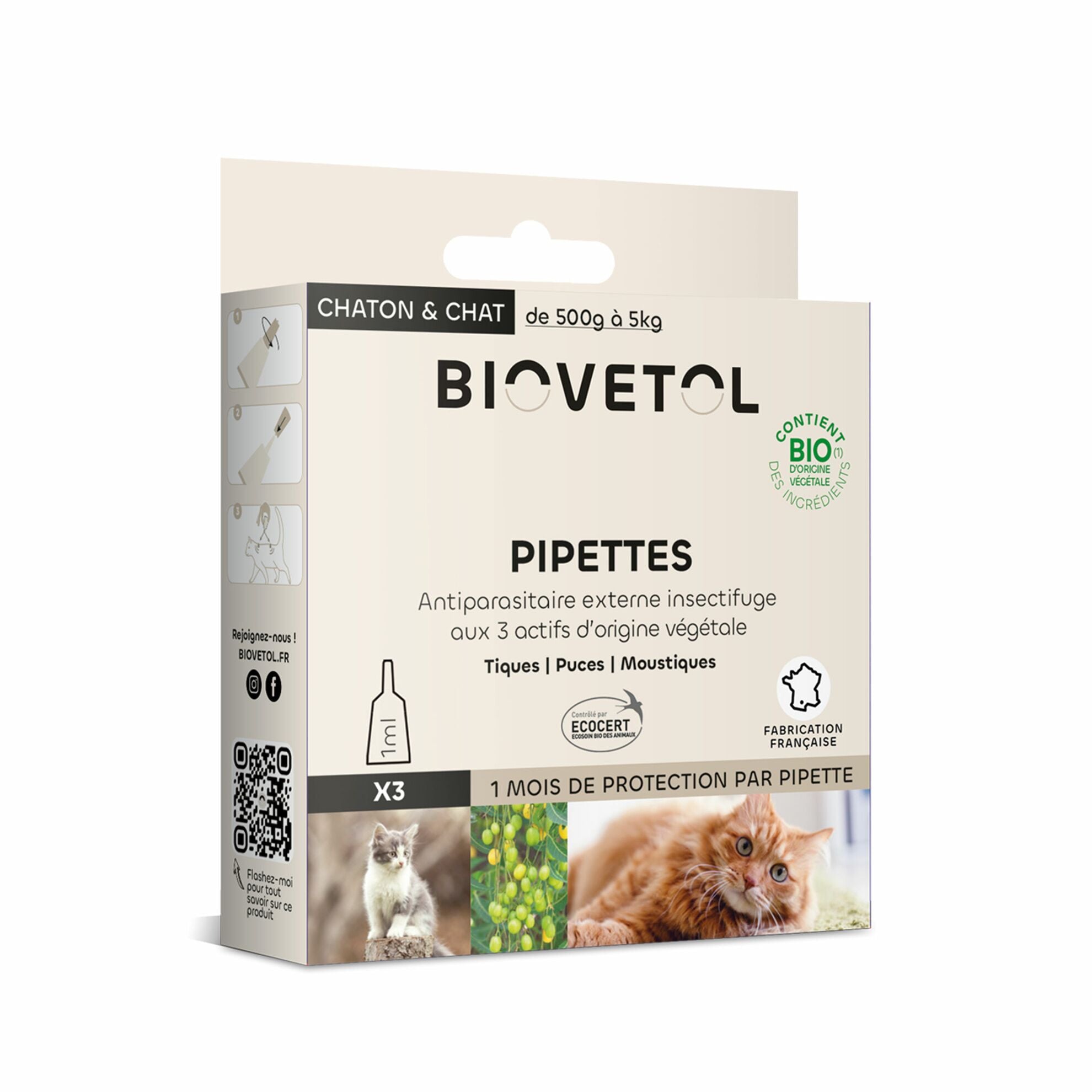 Pipette - chaton et chat