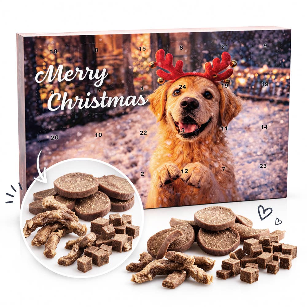 Calendrier de l'Avent pour chien – 24 jours de gourmandises - DOGGY