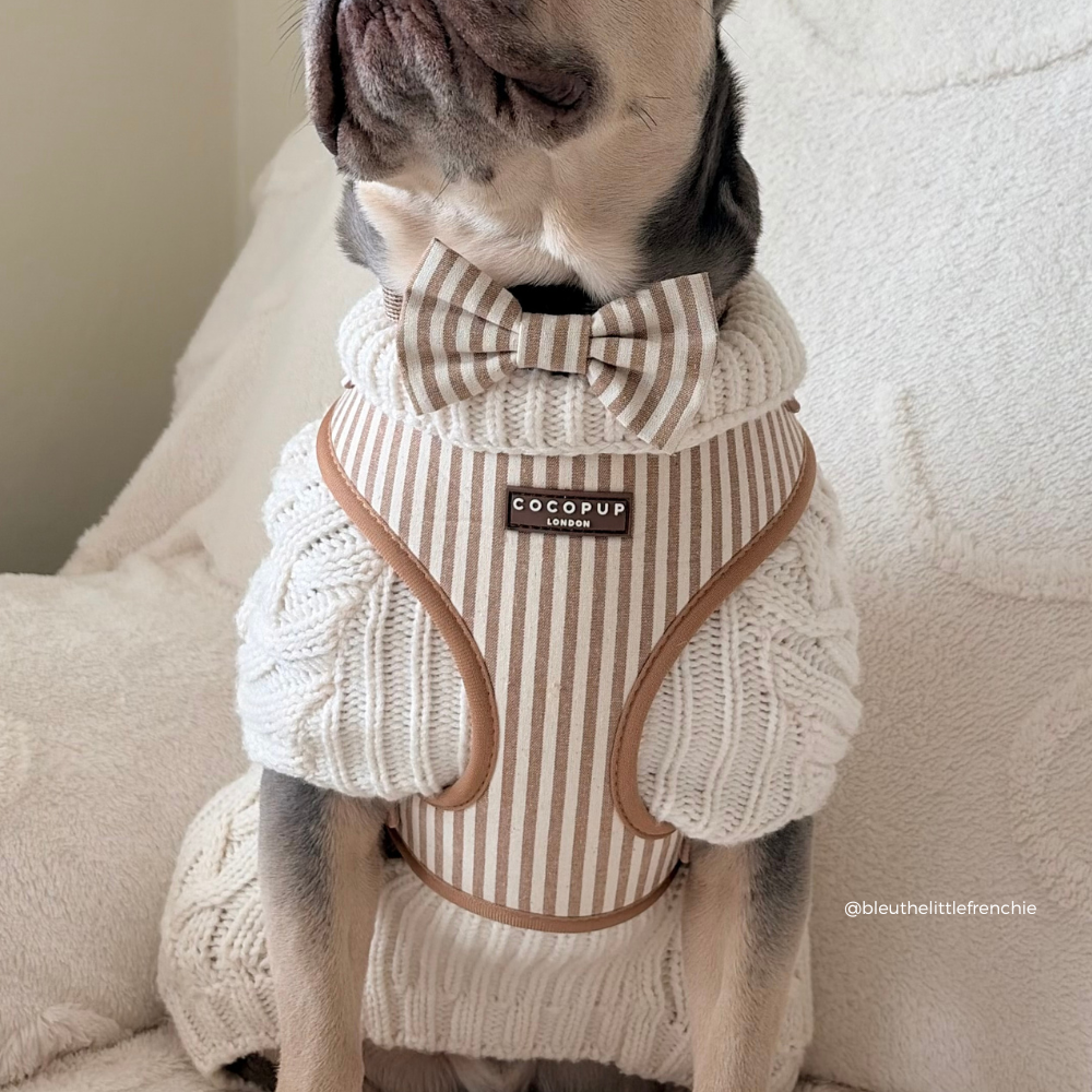 Nœud papillon London Linen Taupe – Cocopup London