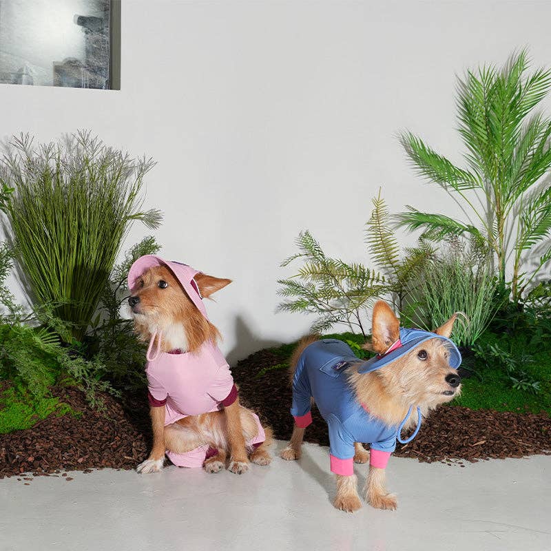 Bob Rafraîchissant Outside+ – Puppy Gallery | Coloris Bleu