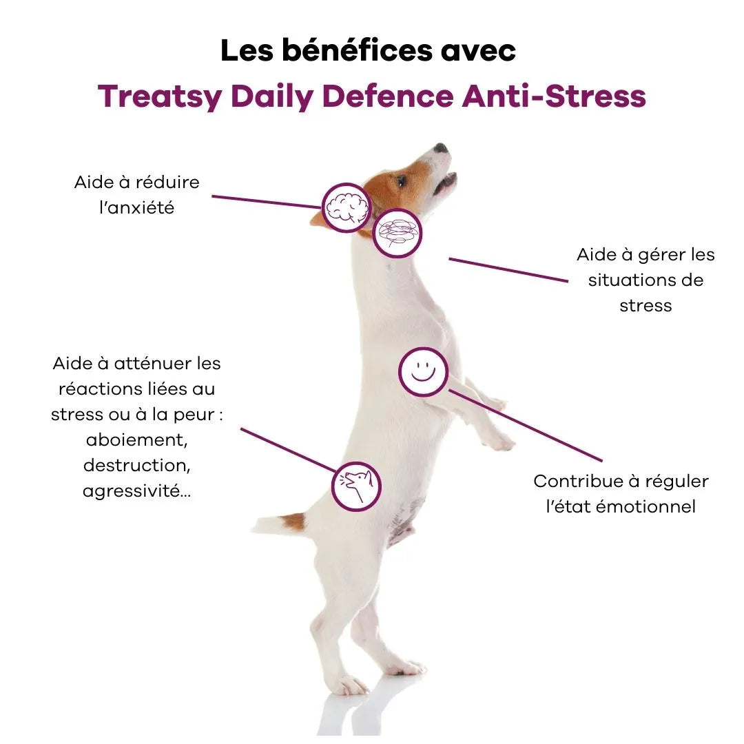 Treatsy Daily Defence – Anti-stress pour chiens