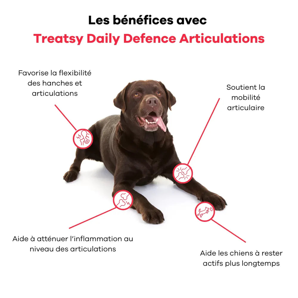 Treatsy Daily Defence Articulations – Complément mobilité & confort articulaire pour chien