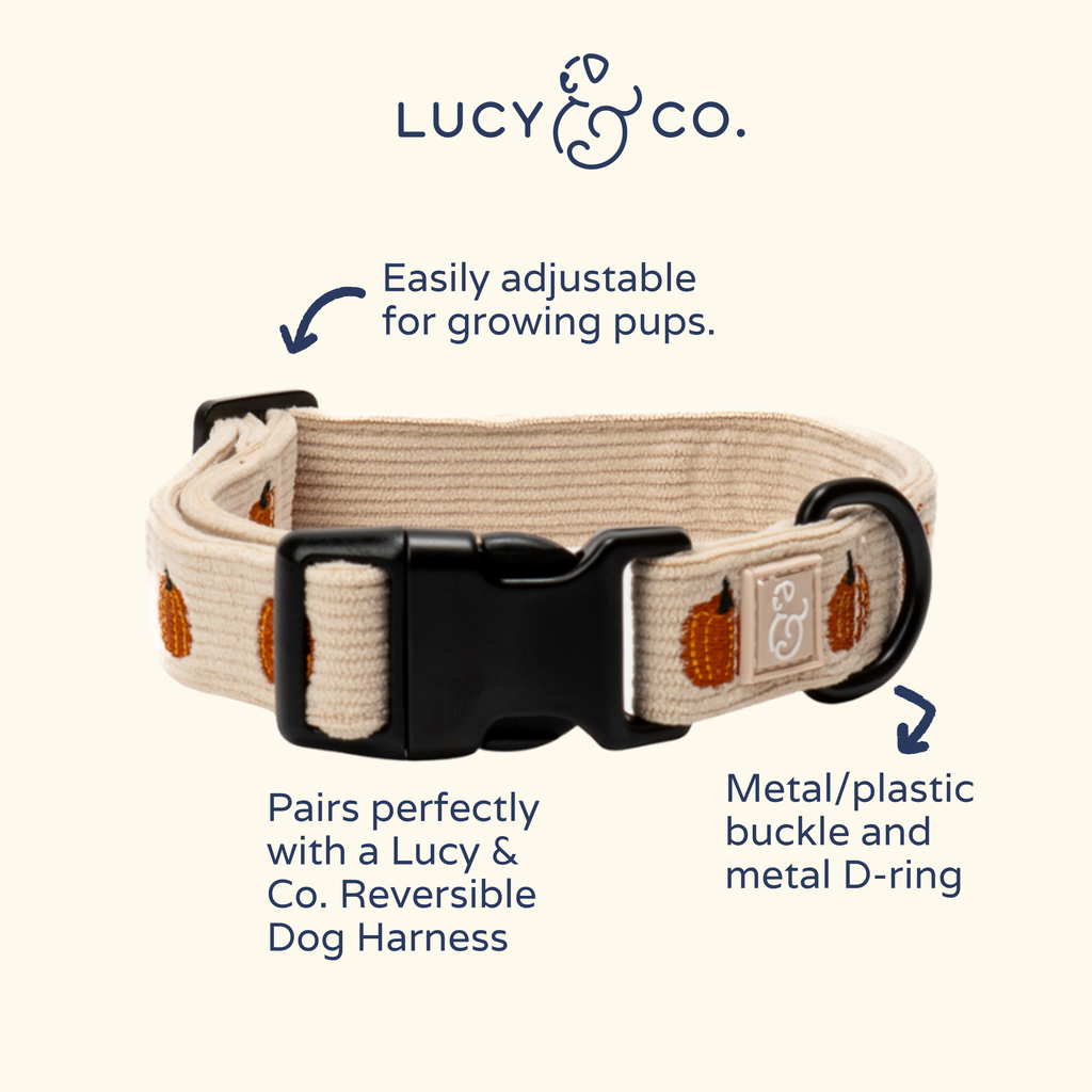 Collier Oh My Courge – Lucy & Co - Automne