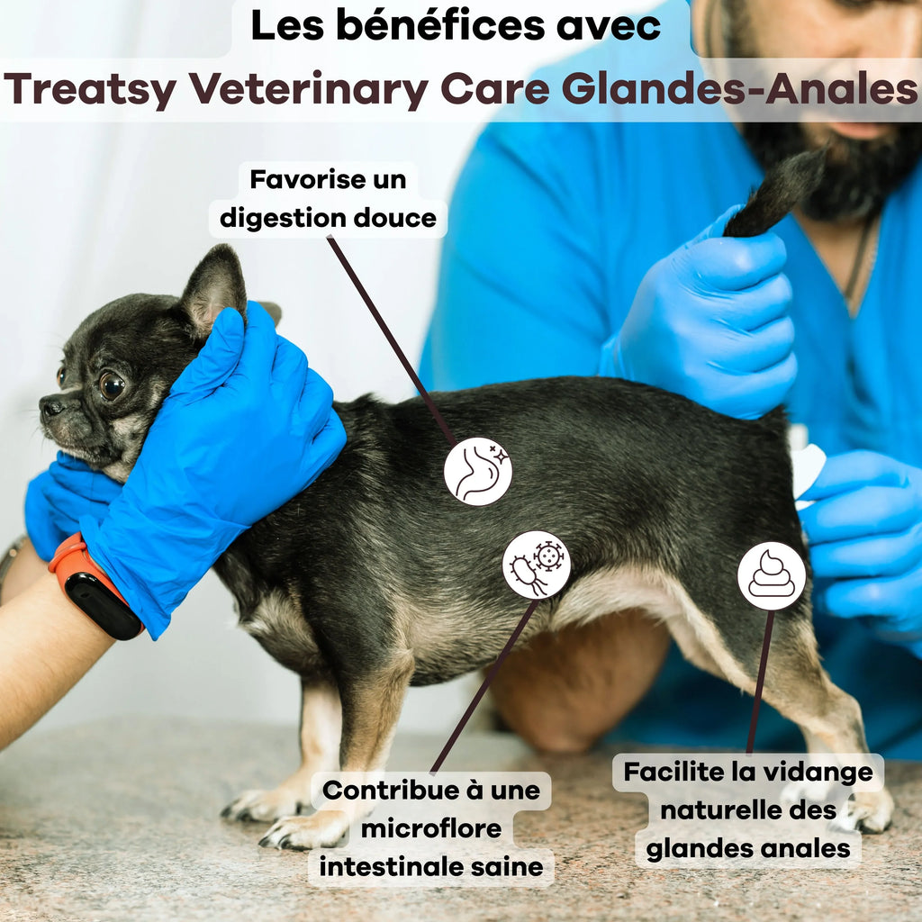 Treatsy Veterinary Care Glandes Anales – Complément digestif & confort pour chien