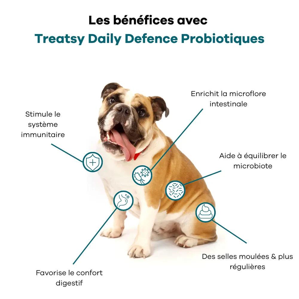 Treatsy Daily Defence Digestion – Complément digestif pour chien
