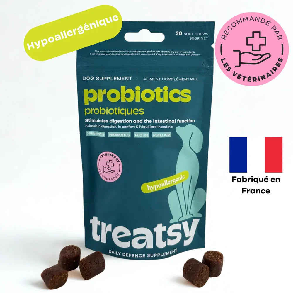 Treatsy Daily Defence Digestion – Complément digestif pour chien