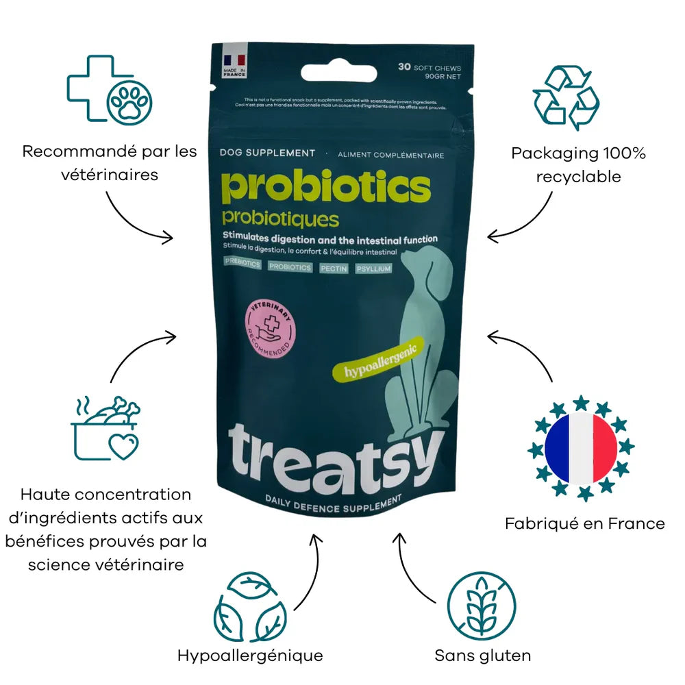 Treatsy Daily Defence Digestion – Complément digestif pour chien
