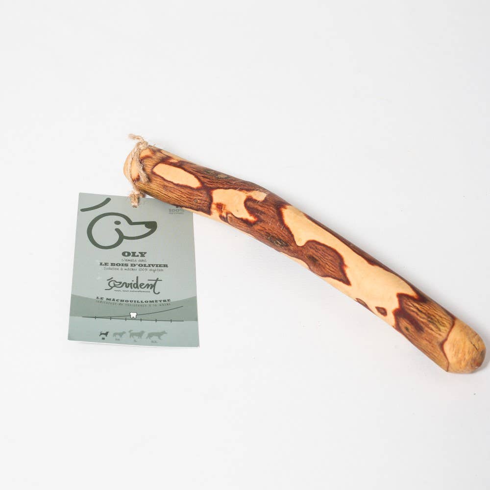 OLY - Bâton en bois d'olivier à mâcher pour chien