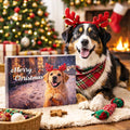 Calendrier de l'Avent pour chien – 24 jours de gourmandises - DOGGY