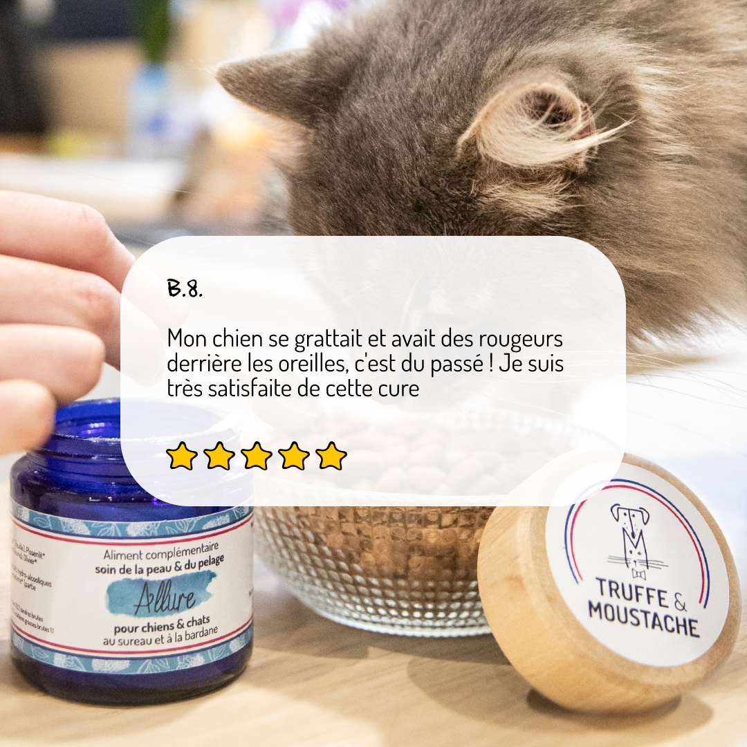 Peau & Pelage – Cure courte – Complément alimentaire