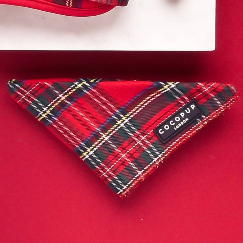 Foulard Tartan – Cocopup London
