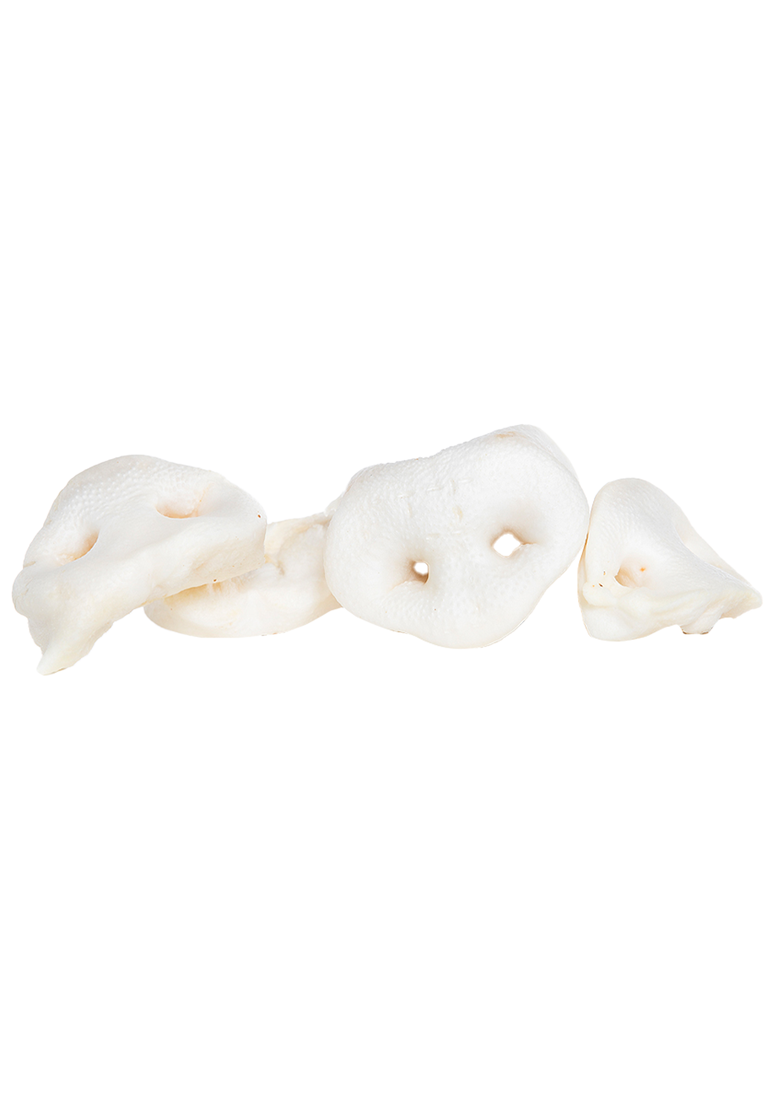 Nez de porc soufflé au miel - 5 pièces