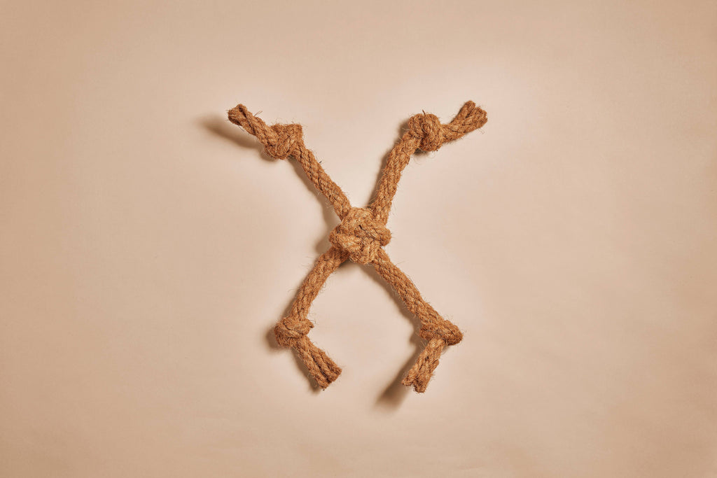 CocoSpider CANOPHERA – Jouet en Corde de Noix de Coco pour Chien
