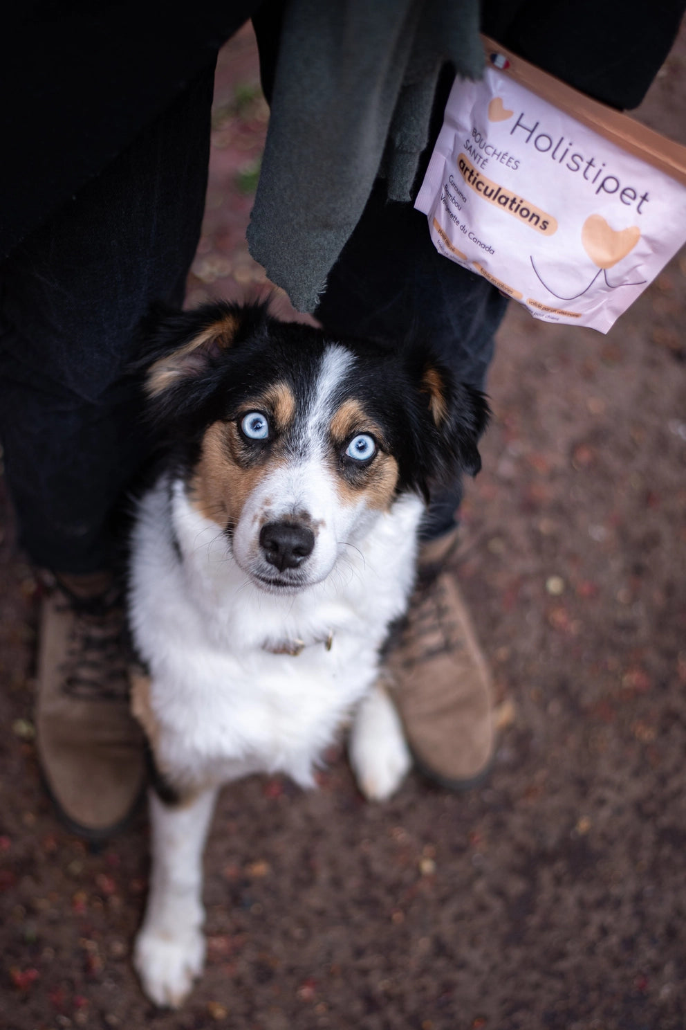 Friandises Articulations