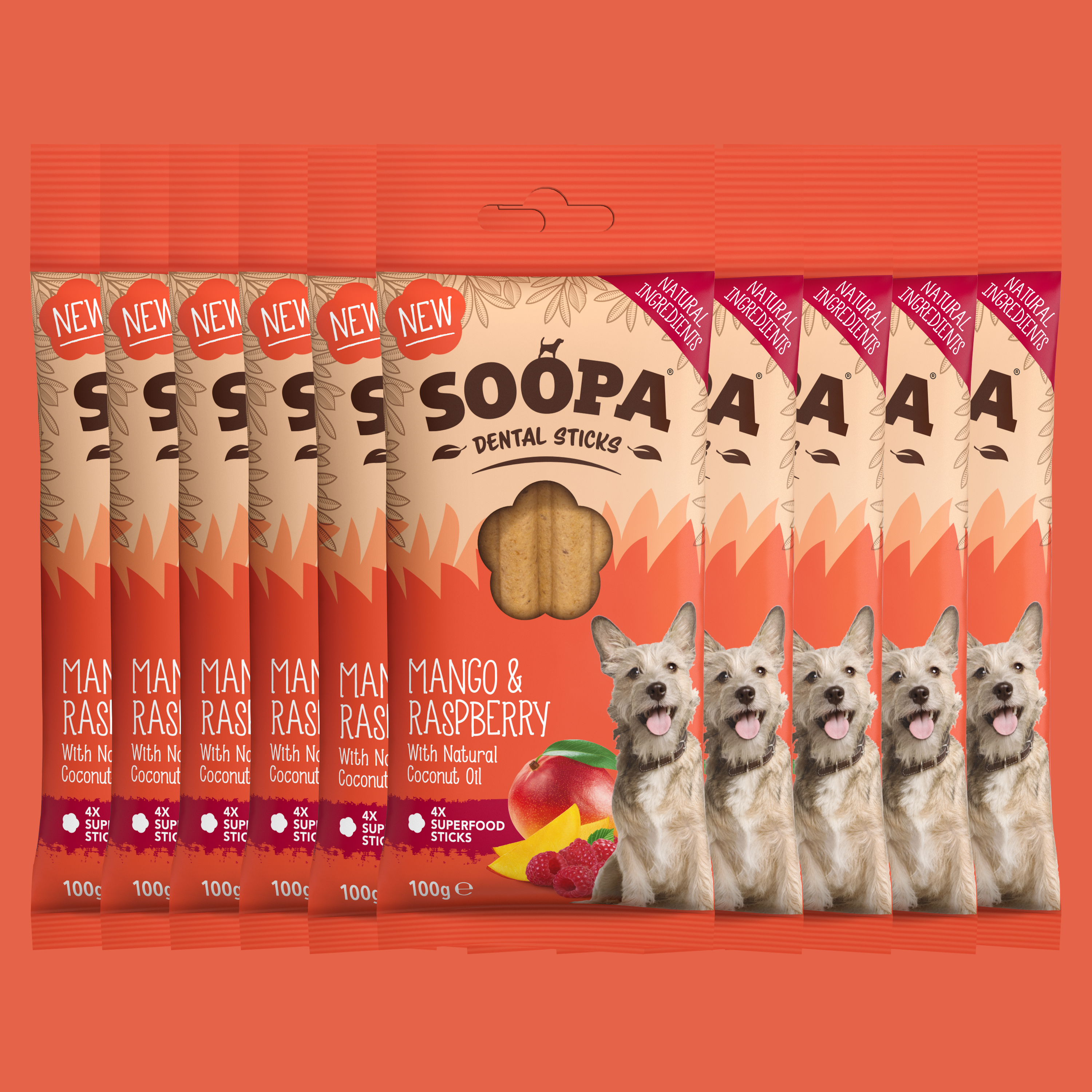 Bâtonnets Dentaires pour Chiens à la Mangue et à la Framboise