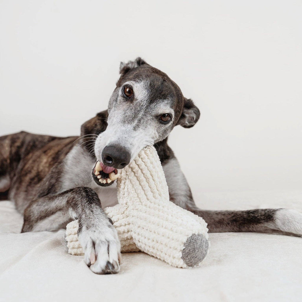 Jouet pour chien BREUER