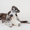 Jouet pour chien BREUER