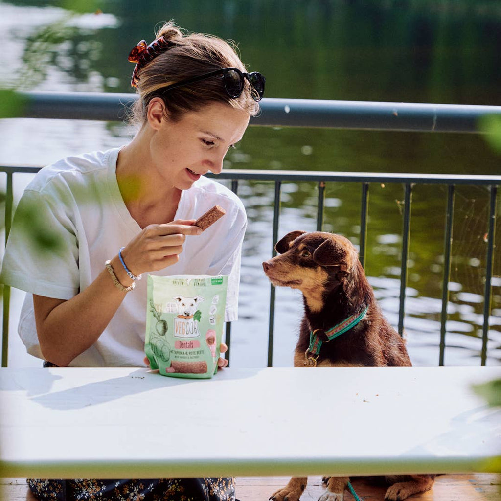 VEGDOG Dentals 120 g – Bâtonnets dentaires Hypoallergéniques