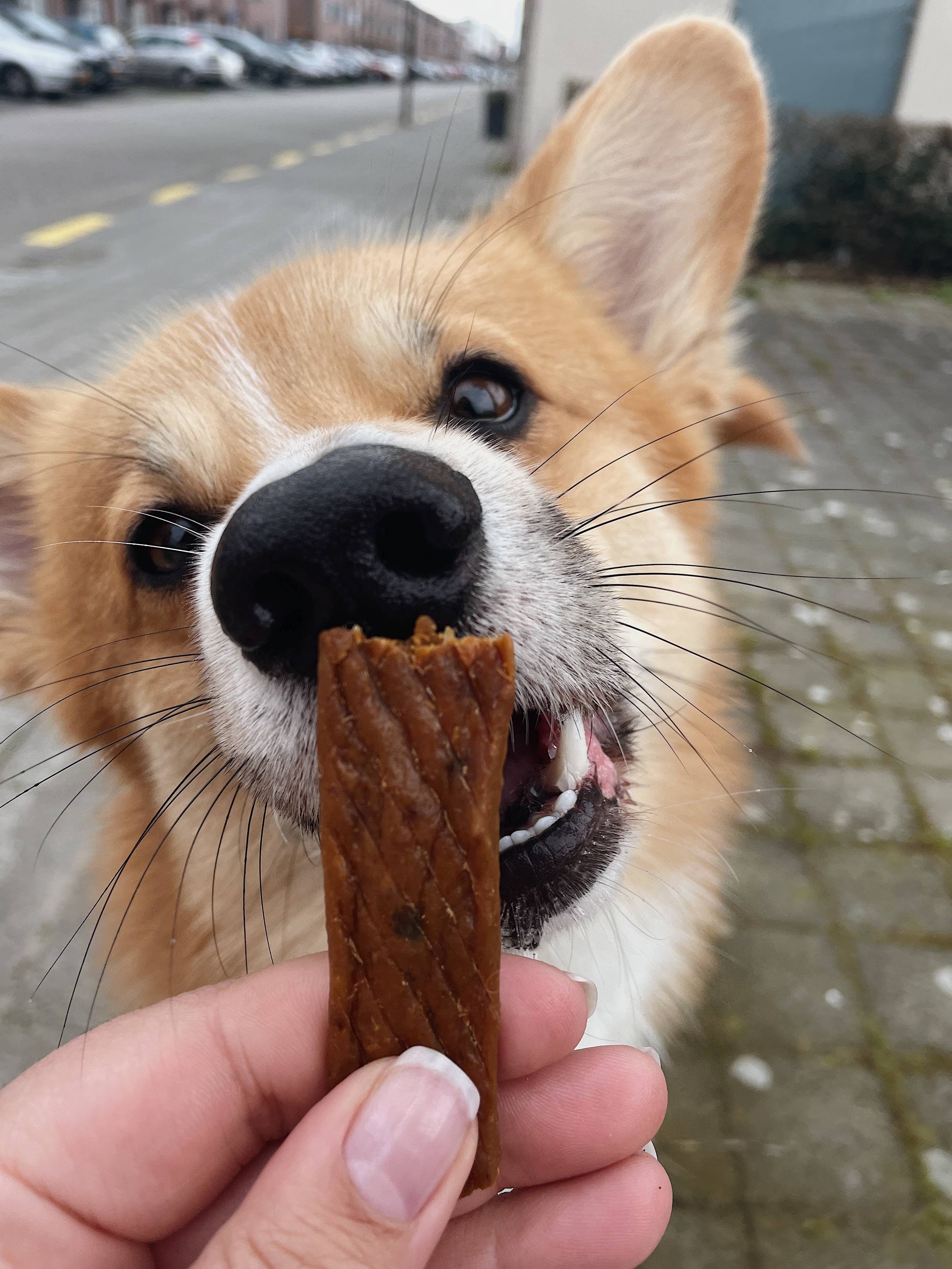 Lanières de viande de dinde - 200g