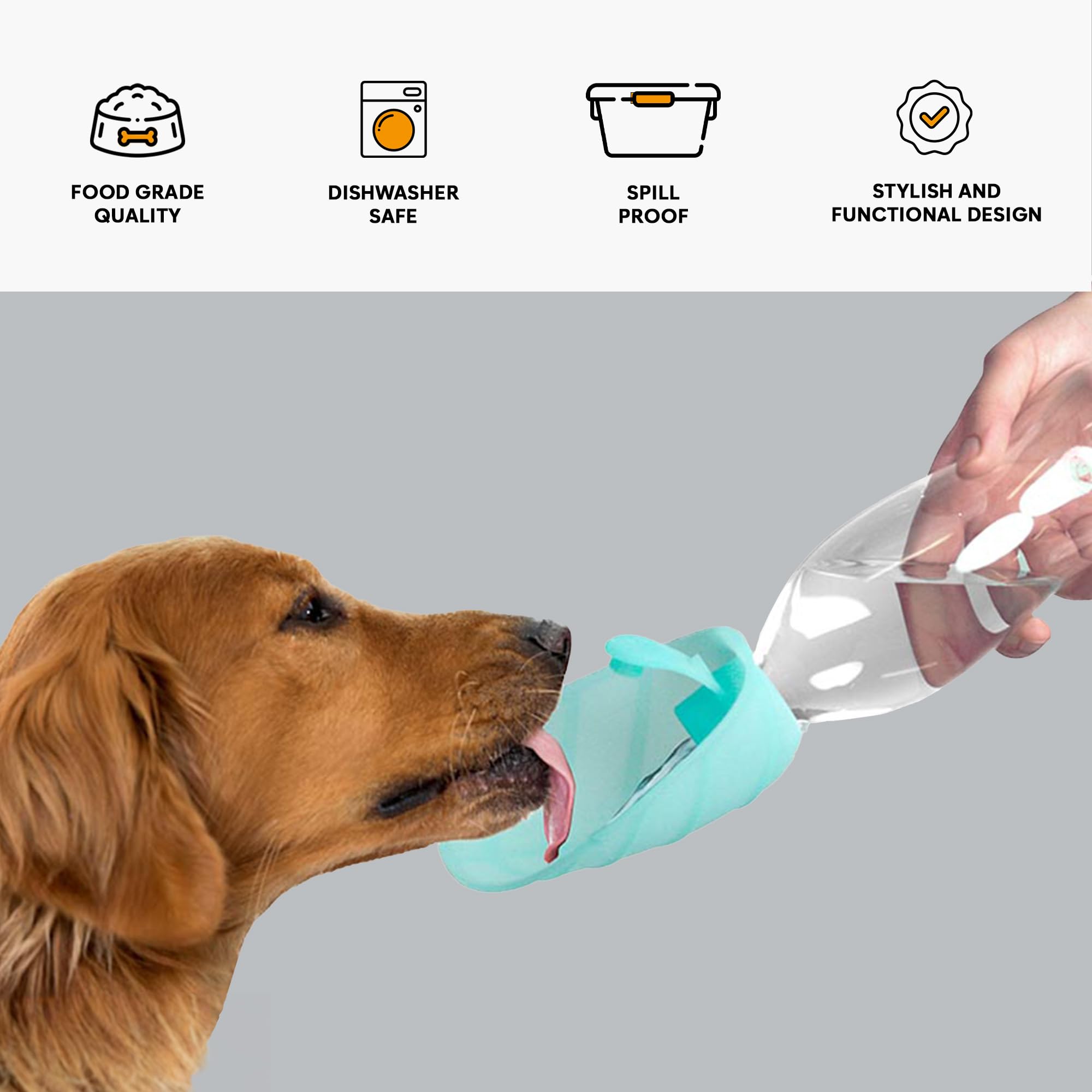 United Pets — Gourde Leaf Bottle — 500 ml