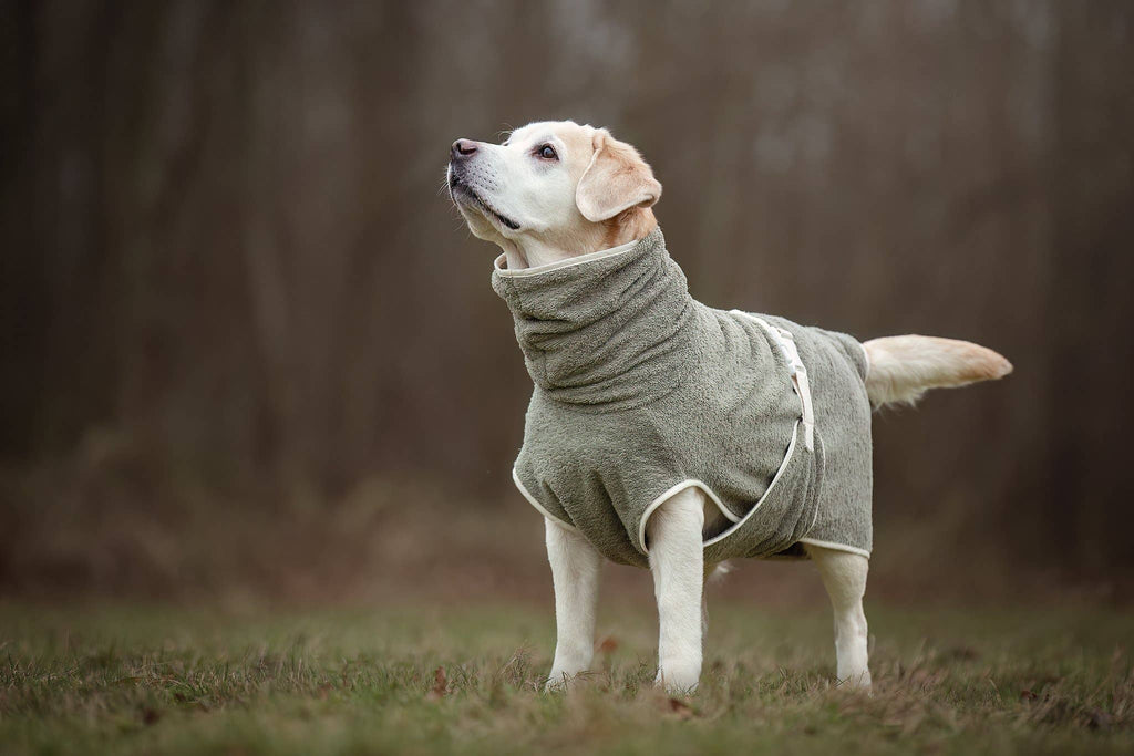 Peignoir pour chien fait main
