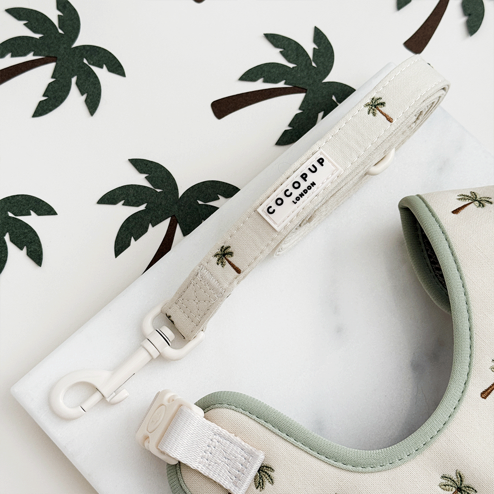 Laisse Palm Springs – Cocopup London