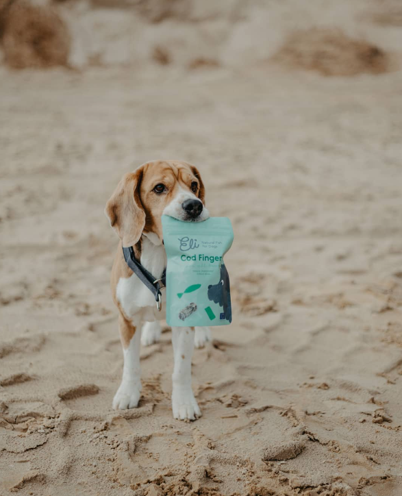 Peau de Morue Séchée Friandises pour Chiens 100% Naturelles