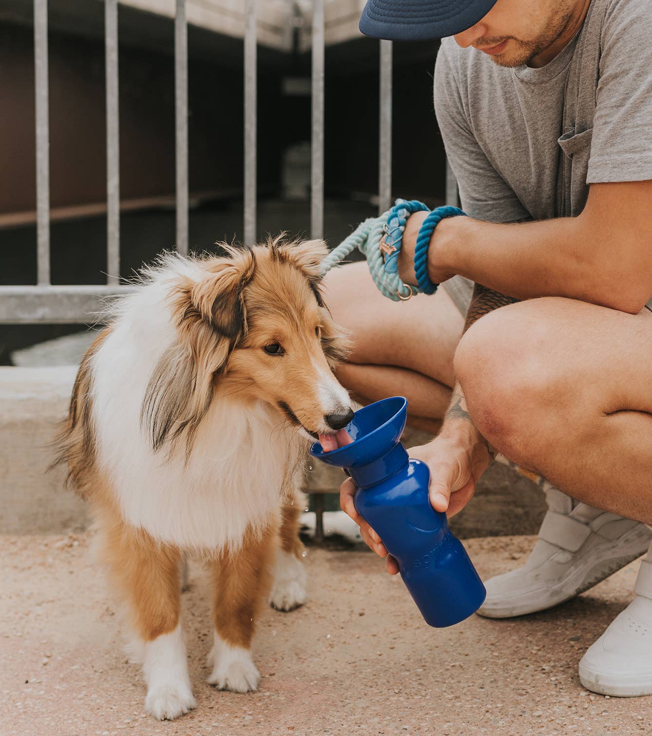 Springer Pet - Gourde 650ml