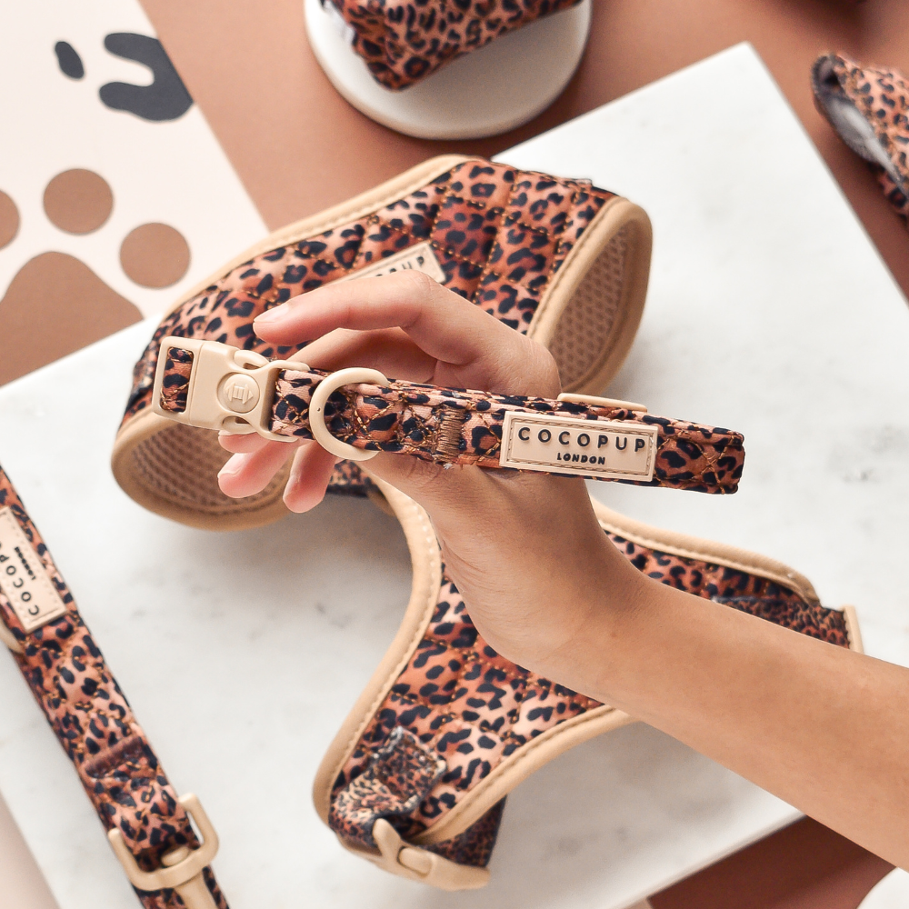 Collier Matelassé Léopard – Cocopup London