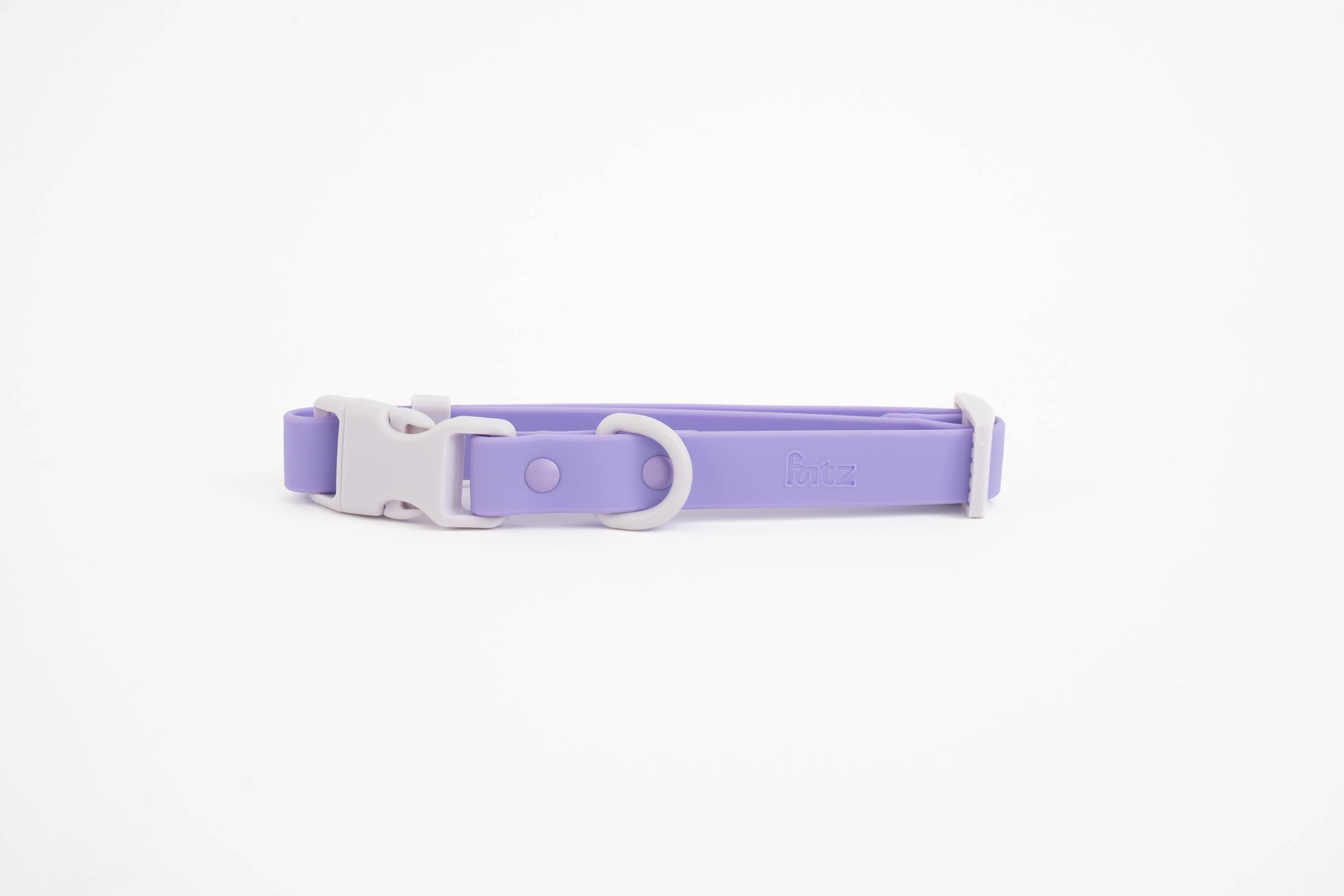 Le collier pour chien Fritz