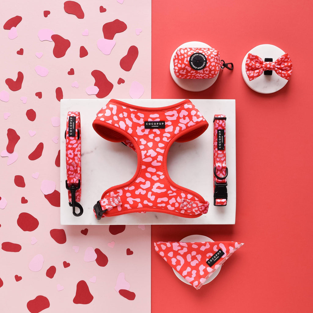 Laisse Red & Pink Leopard – Cocopup London
