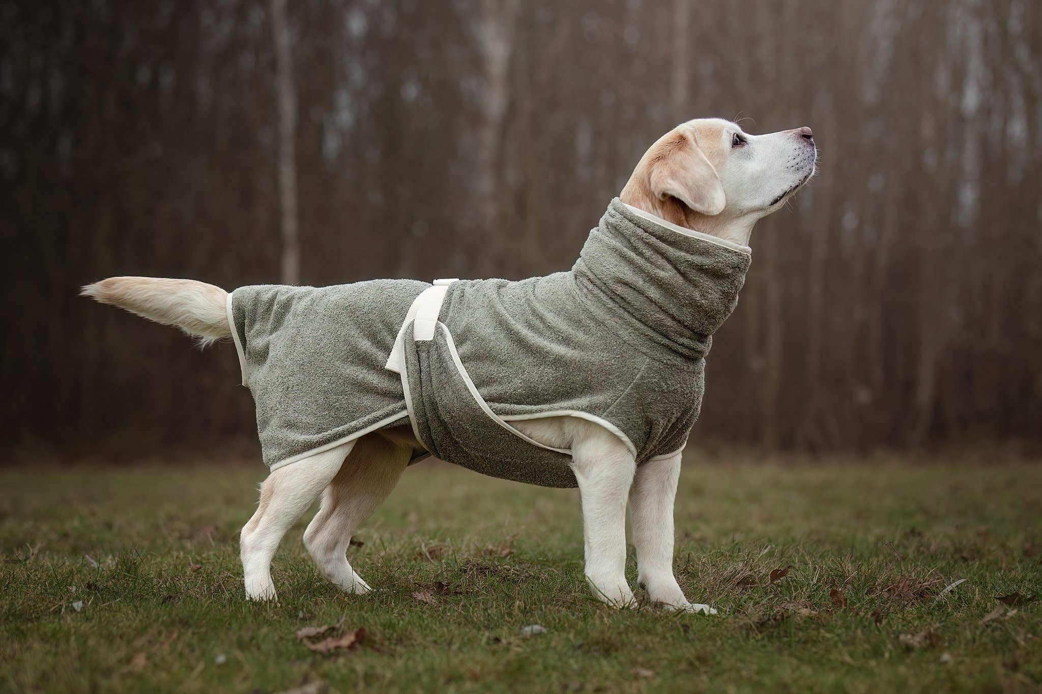 Peignoir pour chien fait main