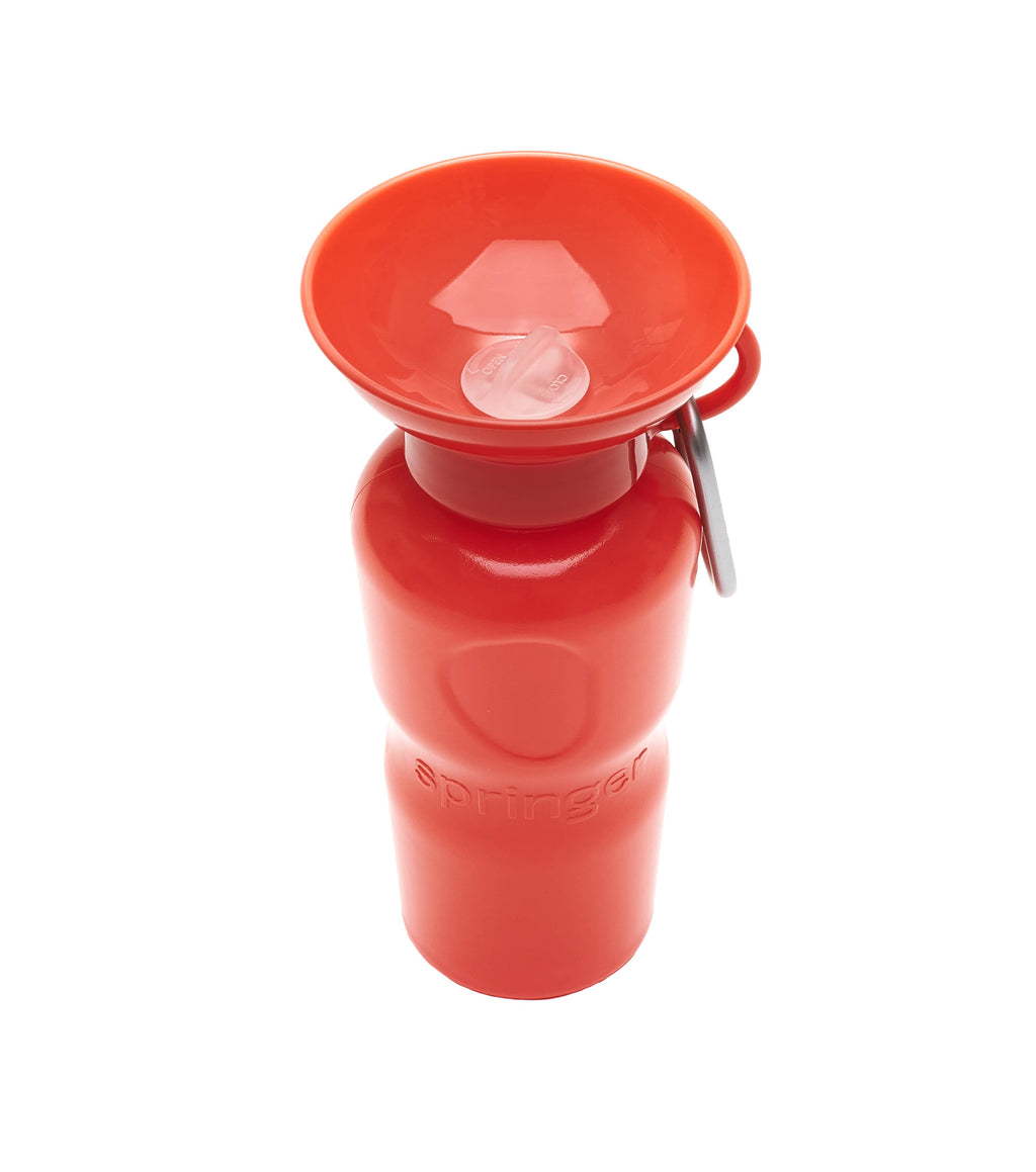 Springer Pet - Gourde 650ml