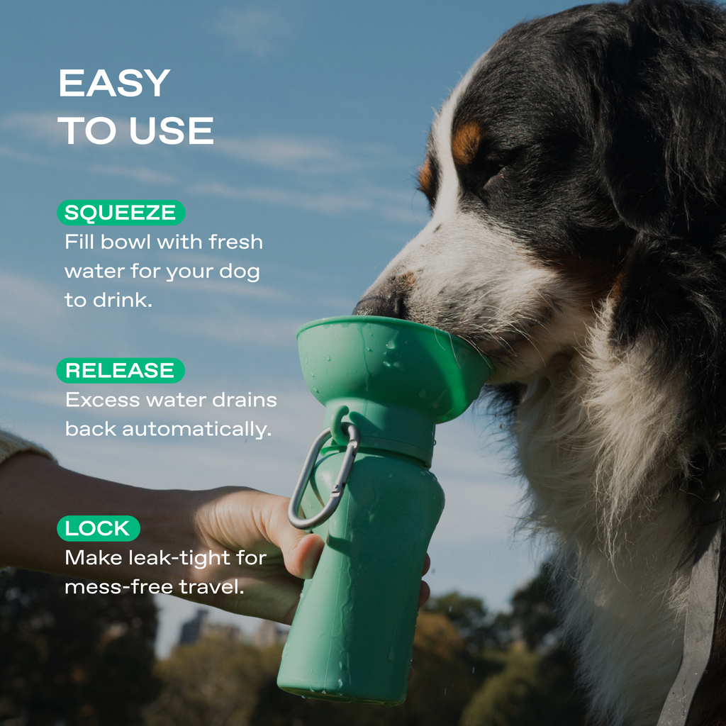 Gourde Portable Springland Pets — 591 ml