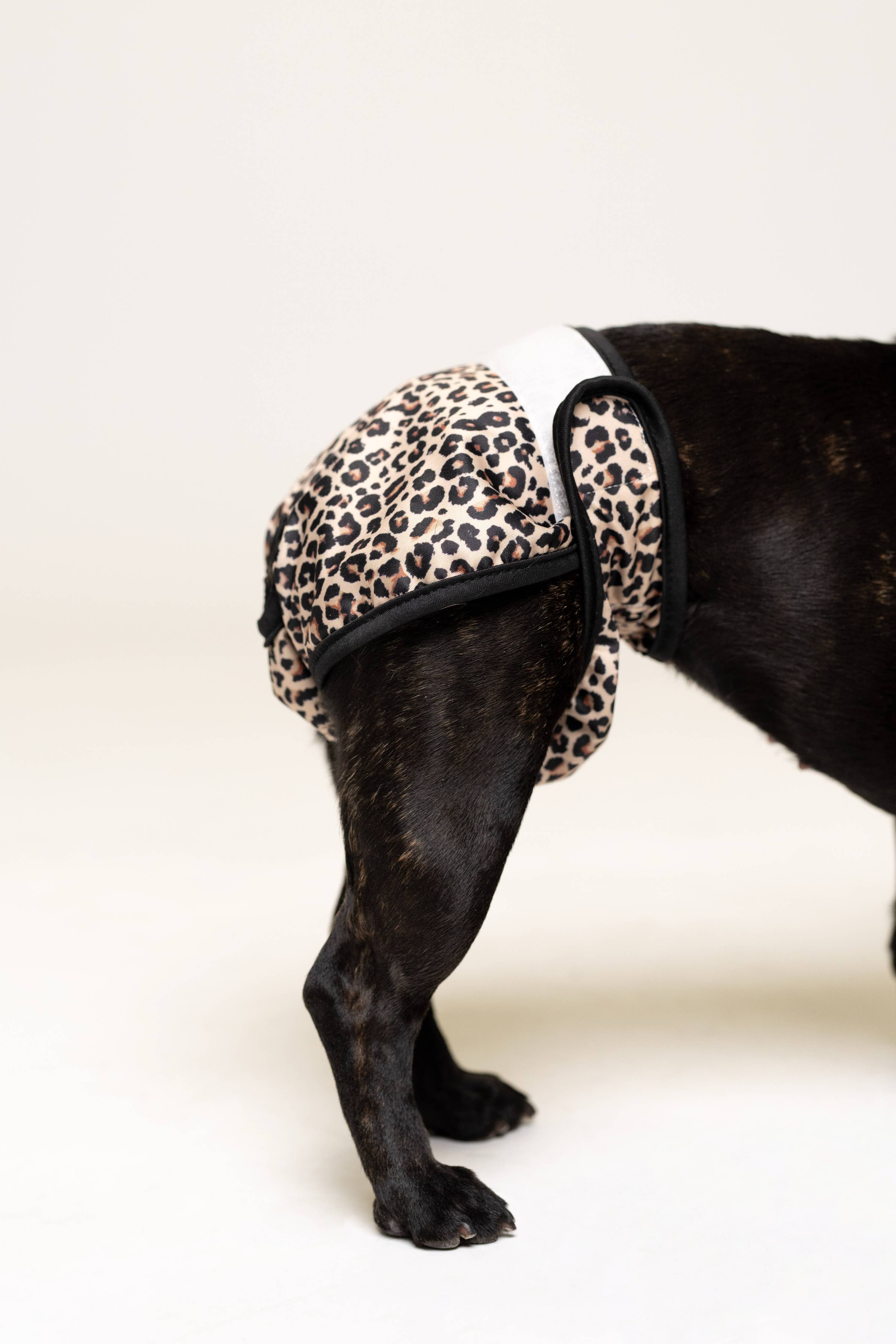 Culottes menstruelles pour chien - Cœurs