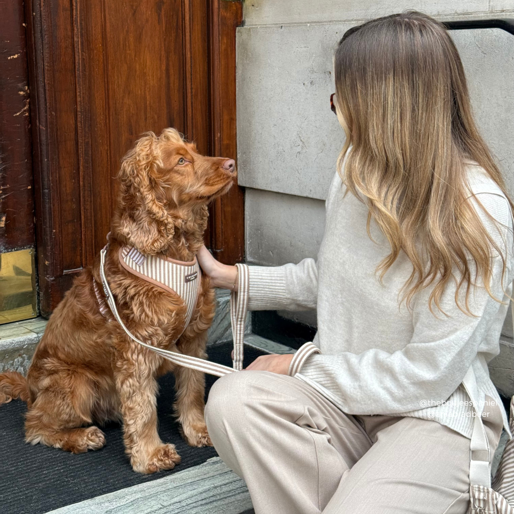 Laisse London Linen Taupe – Cocopup London