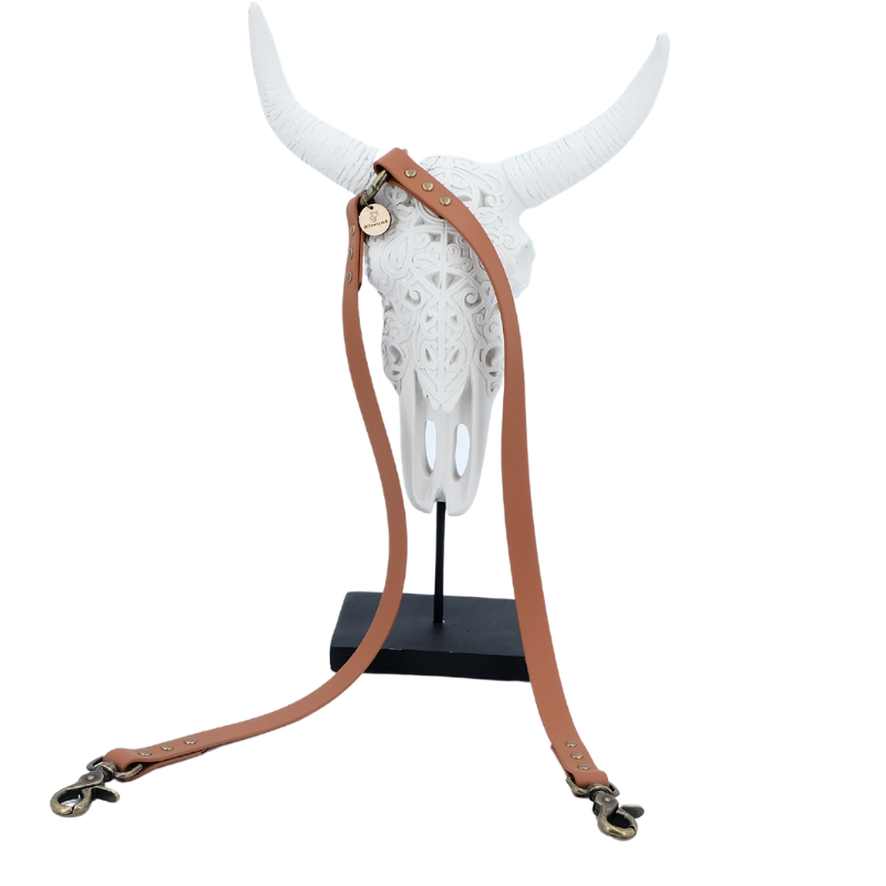 Coupleur laisse chien - biothane - coloris au choix