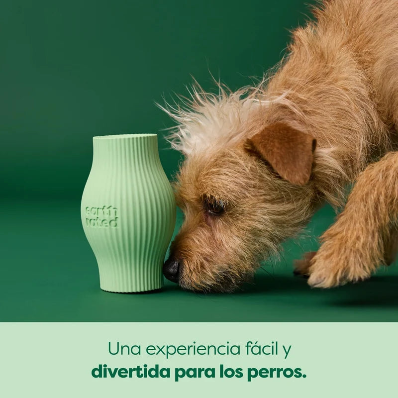 Jouet distributeur de friandises pour chien – Earth Rated