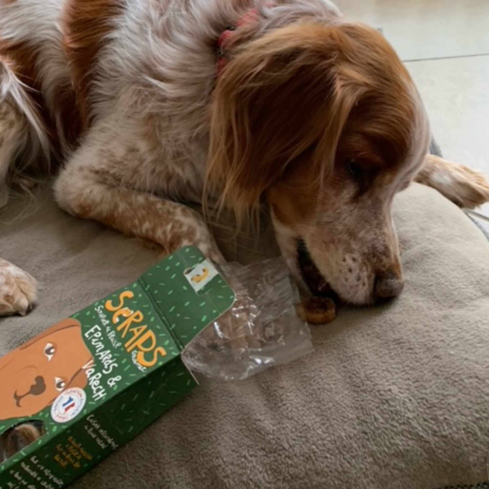 SCRAPS ÉPINARDS & VARECH 120g