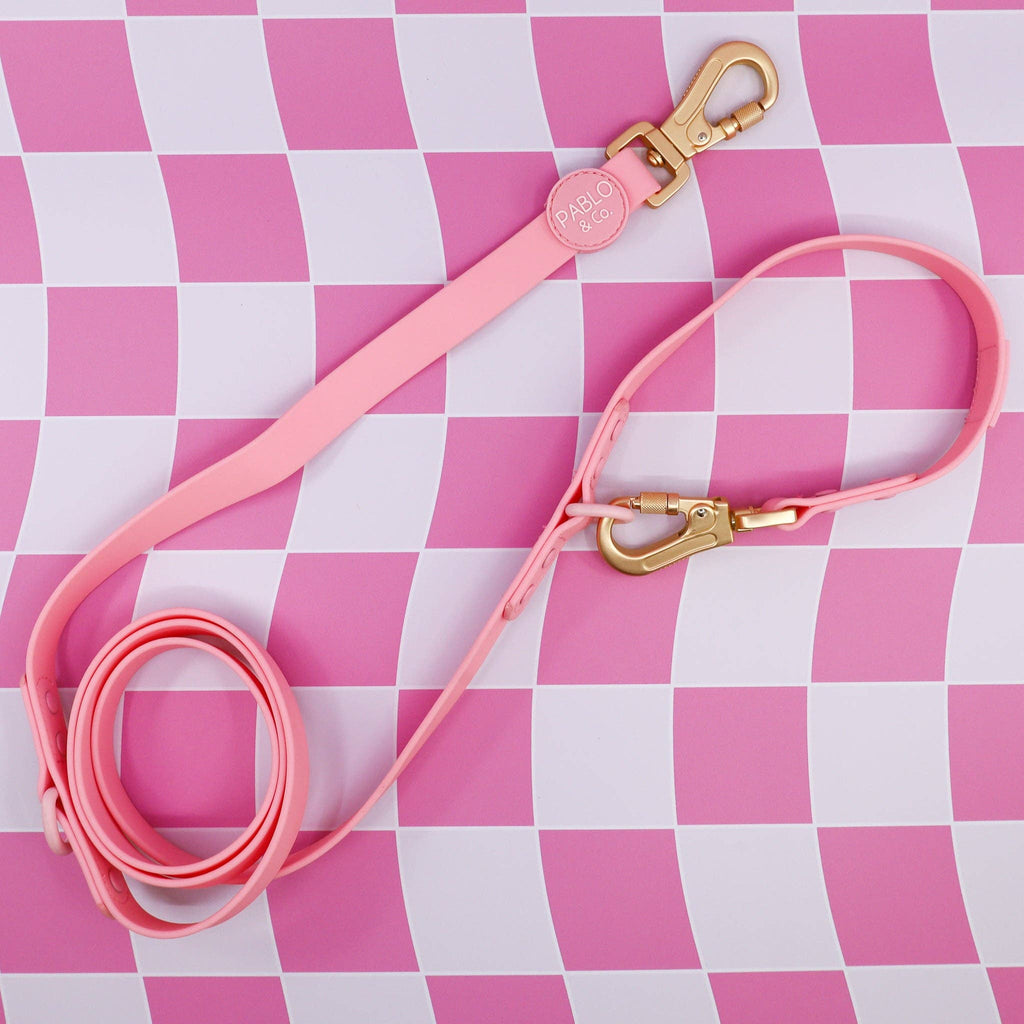 Bubblegum : laisse imperméable multifonctionnelle