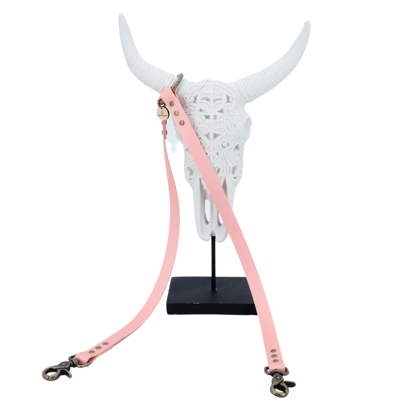 Coupleur laisse chien - biothane - coloris au choix