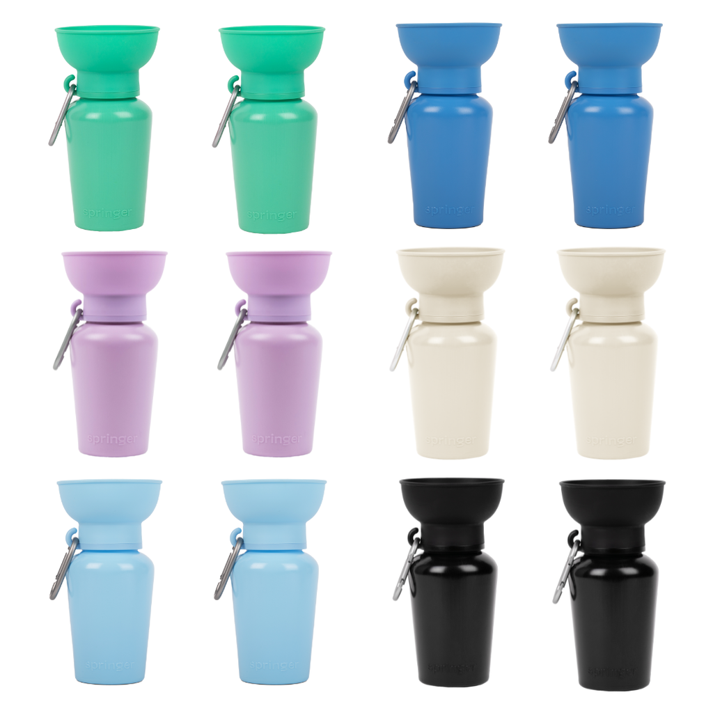 Gourde Portable Springland Pets — 591 ml