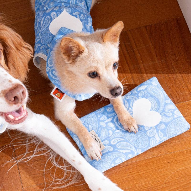 Puppy Gallery – Pochette pour pack de glace Paisley Lover