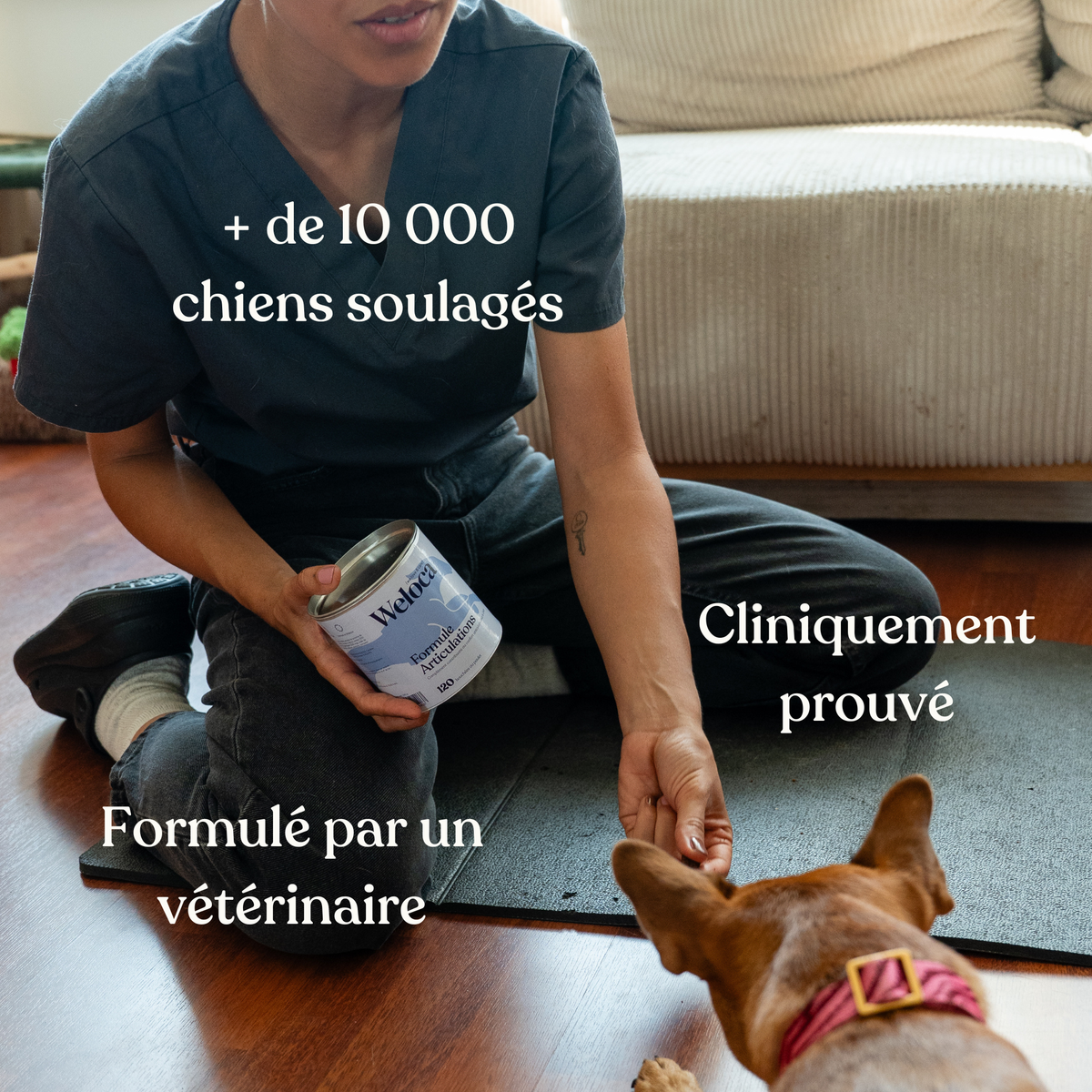 Bouchées articulaires pour chien - 60 bouchées - WELOCA